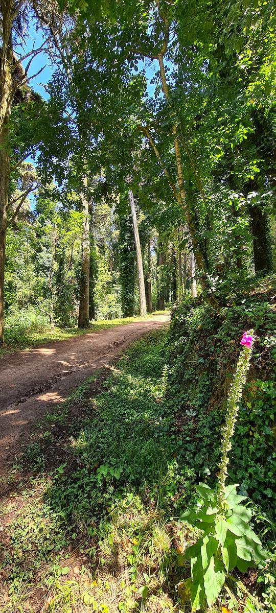 Senhora da Peninha Sintra